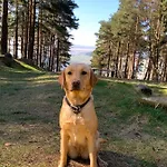 Swinton Bivouac Lodge *