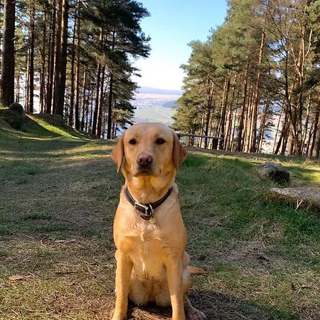 Swinton Bivouac Gerendaház *